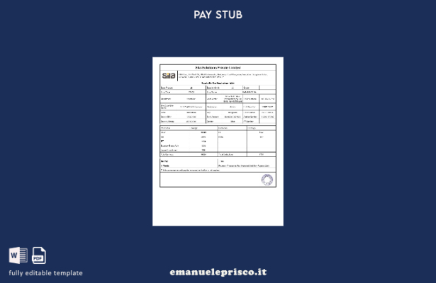 modello di busta paga Sila Solutions stile verificato